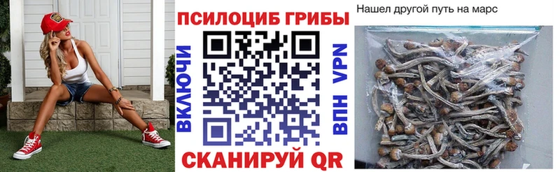 Купить закладки  Билибино  Галлюциногенные грибы прущие грибы 